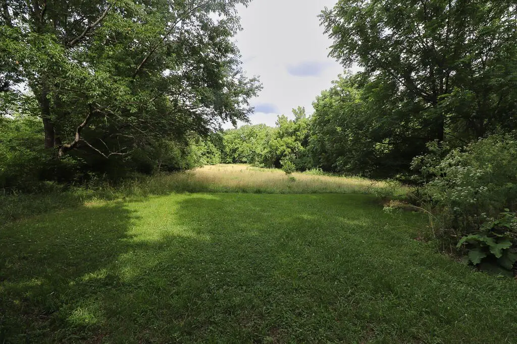Picture 21