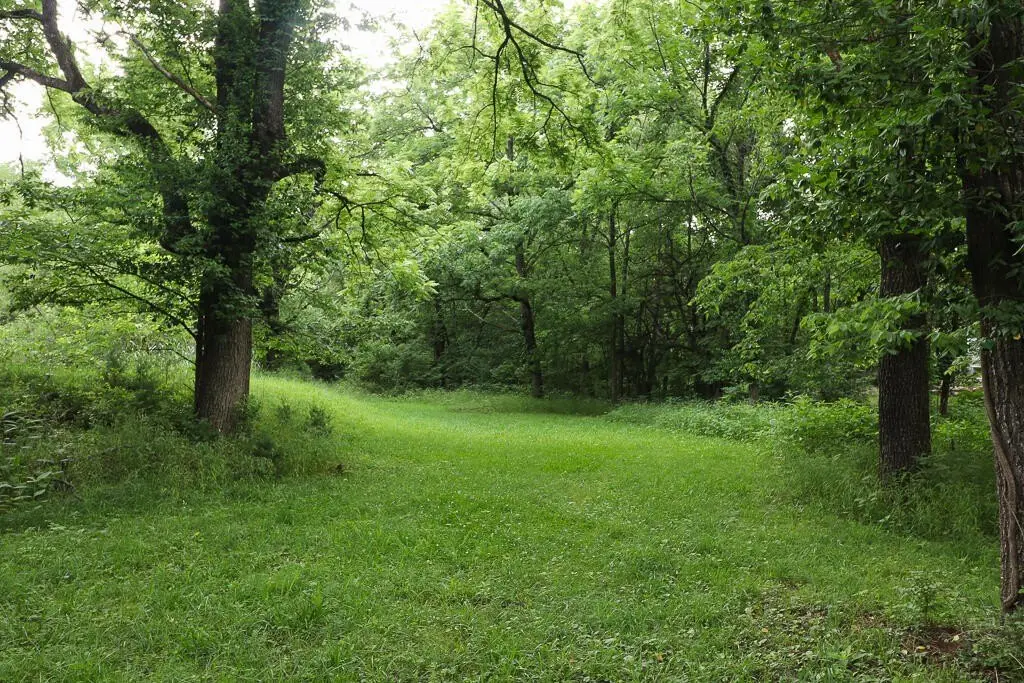 Picture 25
