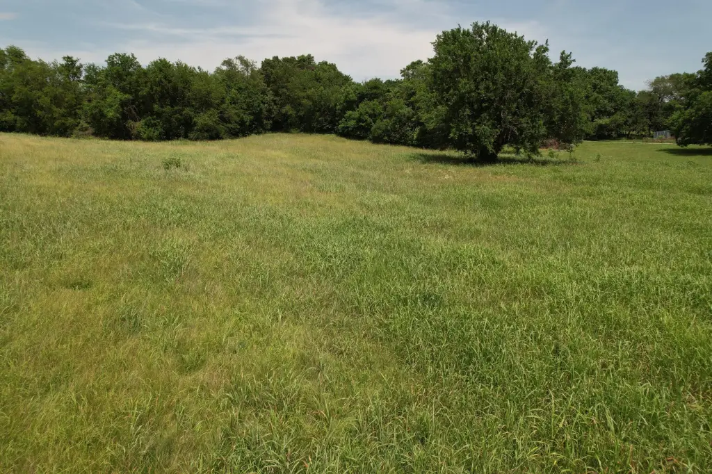 Picture 36