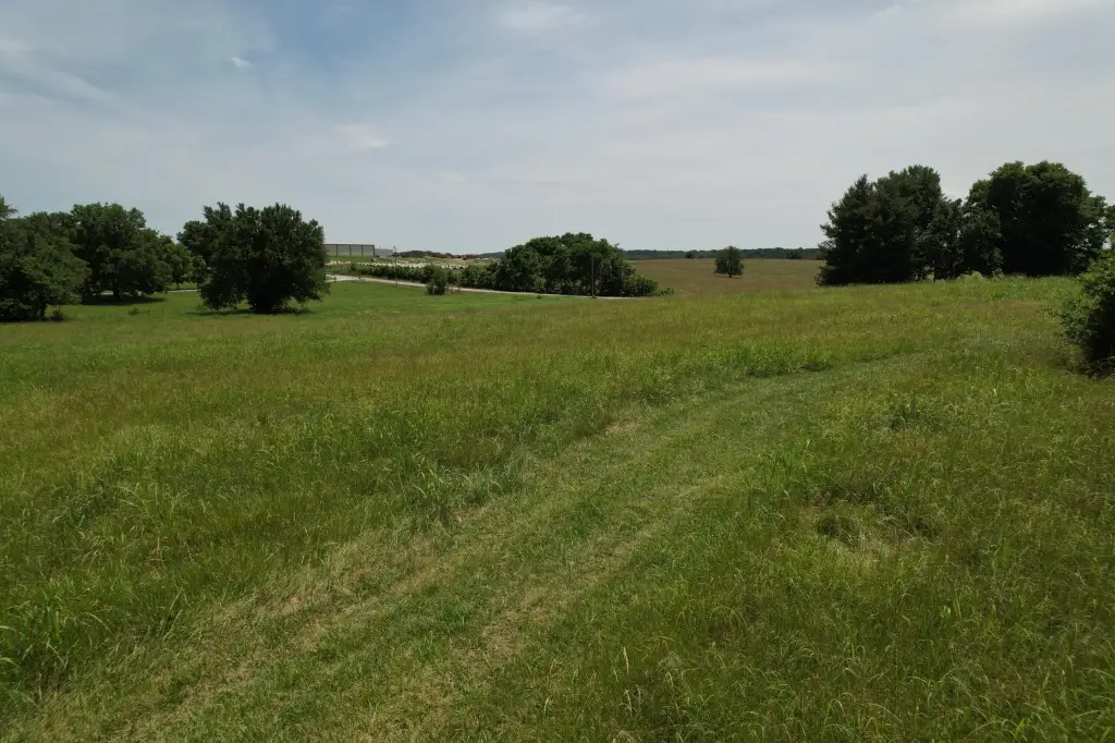 Picture 31