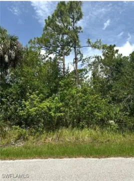 Residential Land in Punta Gorda