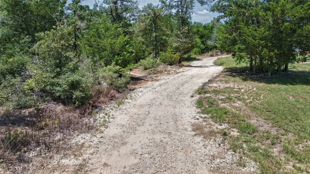 Picture 21