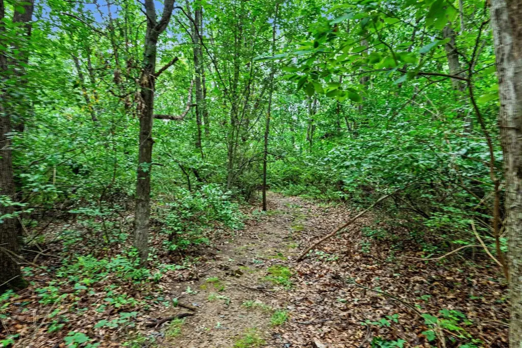 Picture 9