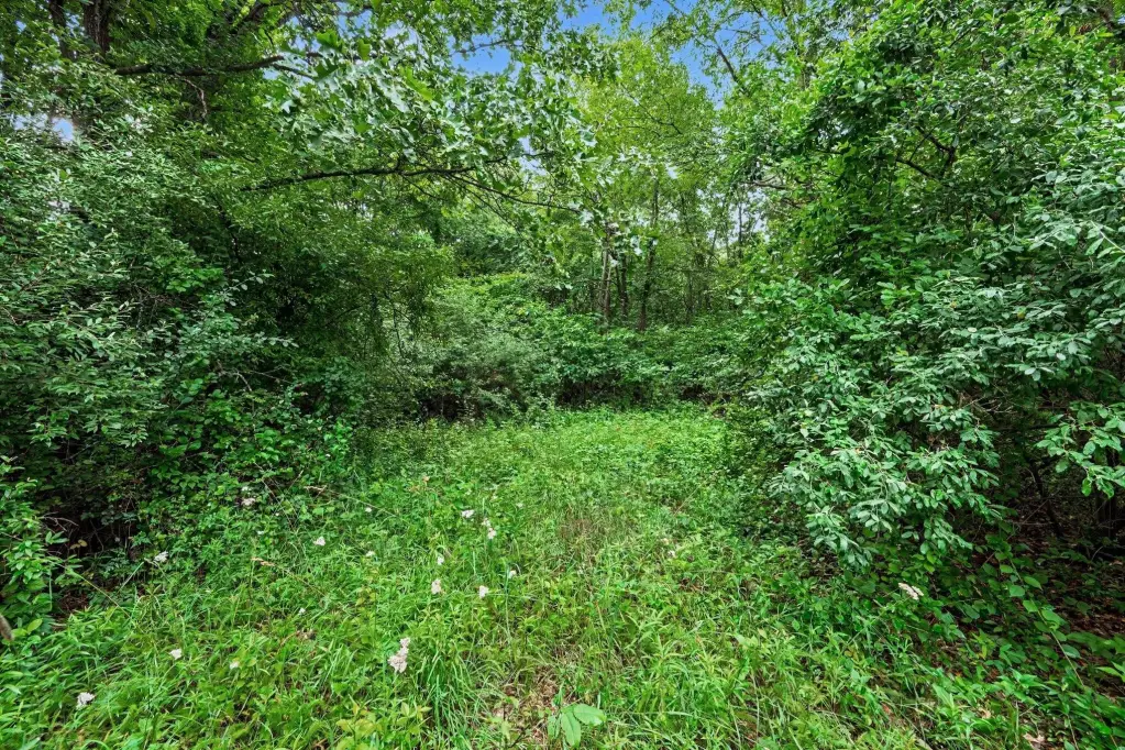 Picture 11