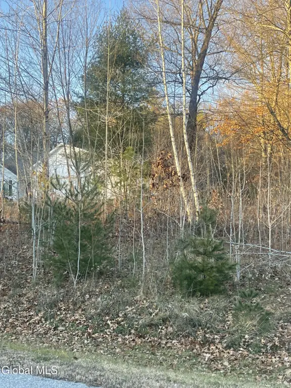 Picture 4