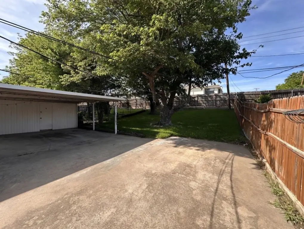 Picture 25