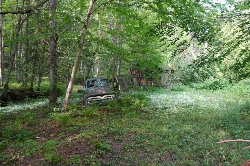 Picture 22