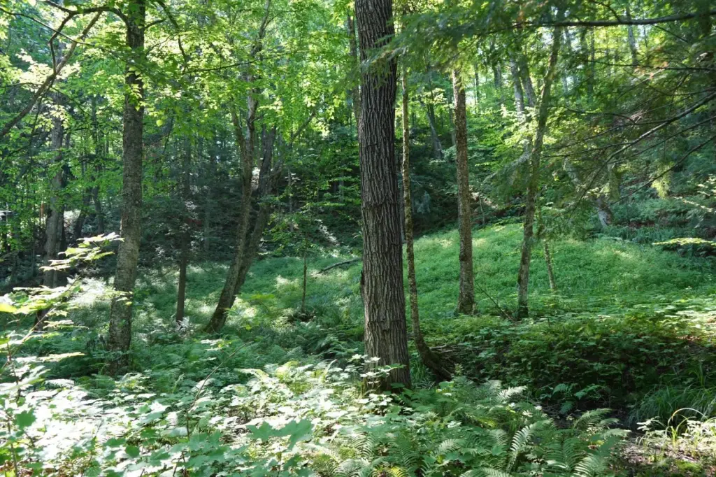 Picture 8