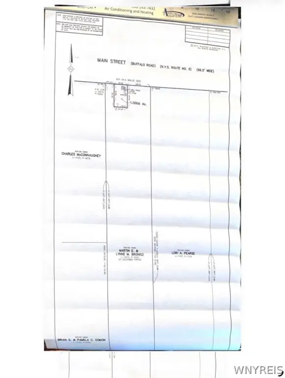Picture 11