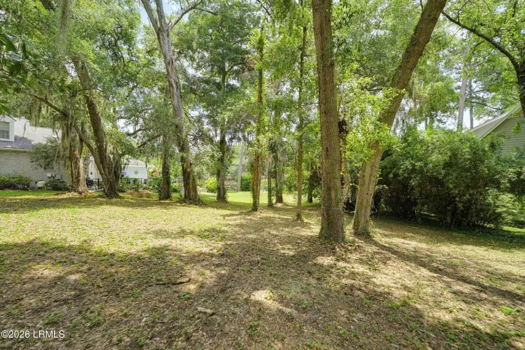 Picture 23