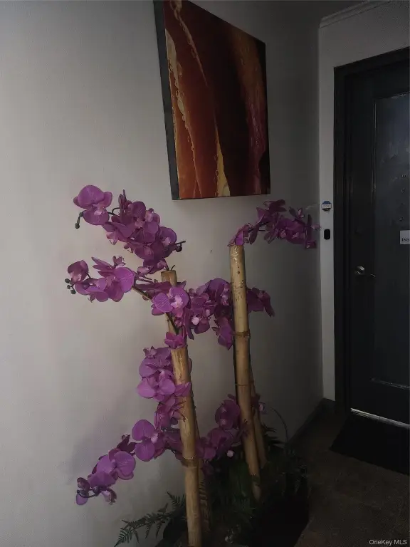 Picture 4