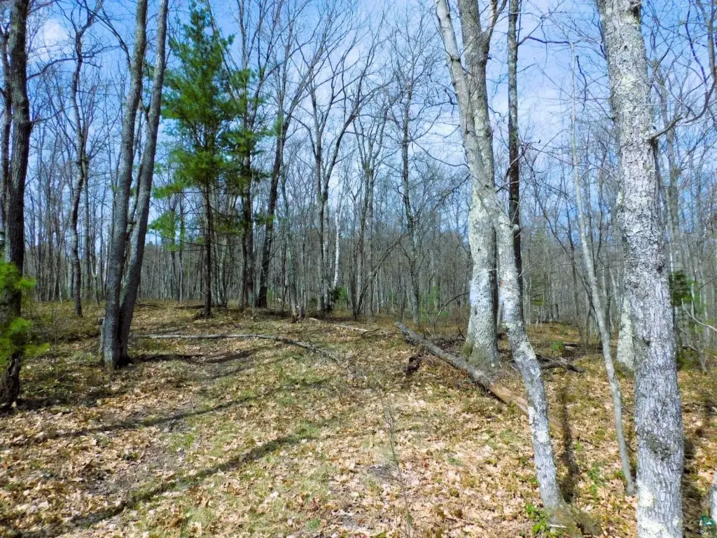 Picture 19