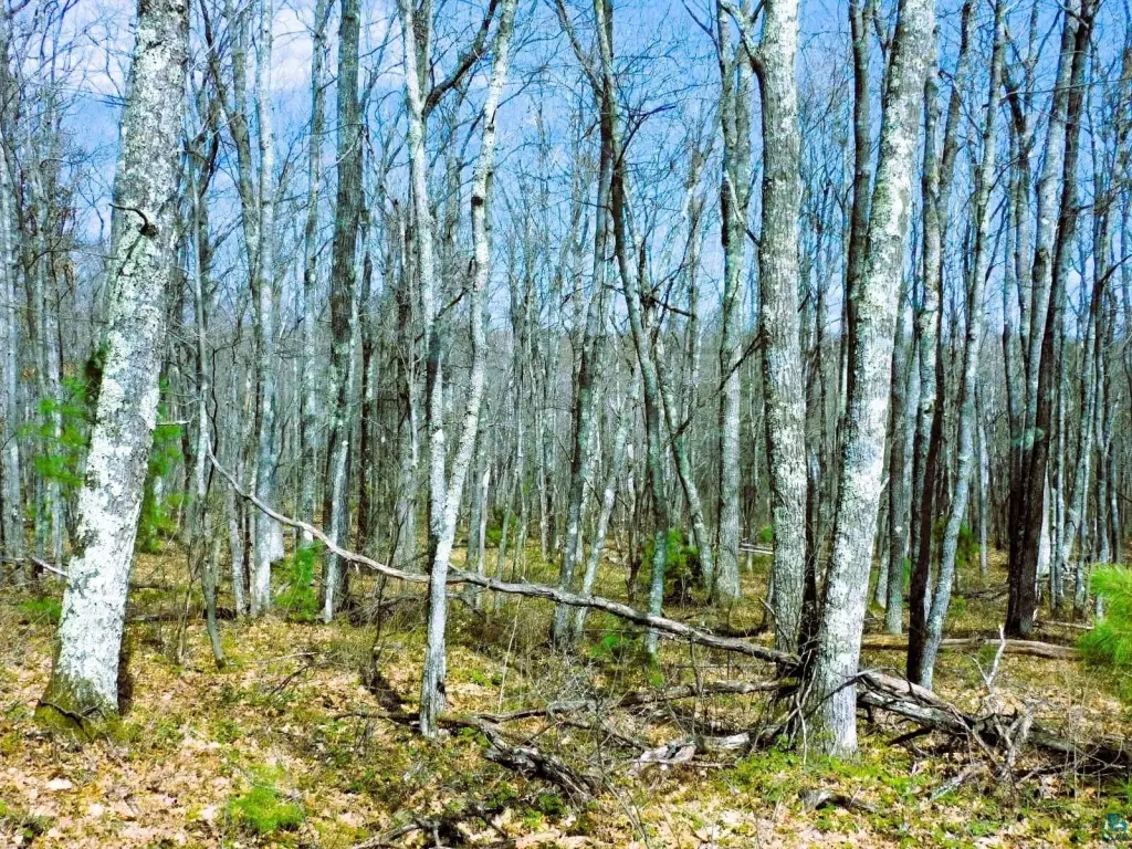 Picture 18