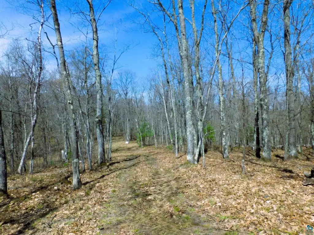 Picture 16