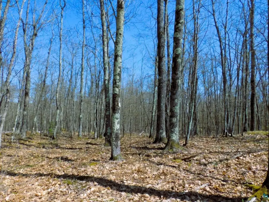Picture 6