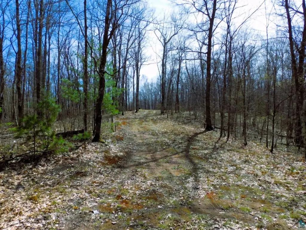 Picture 18