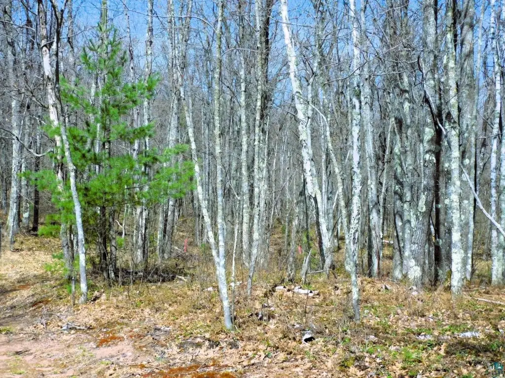 Picture 19