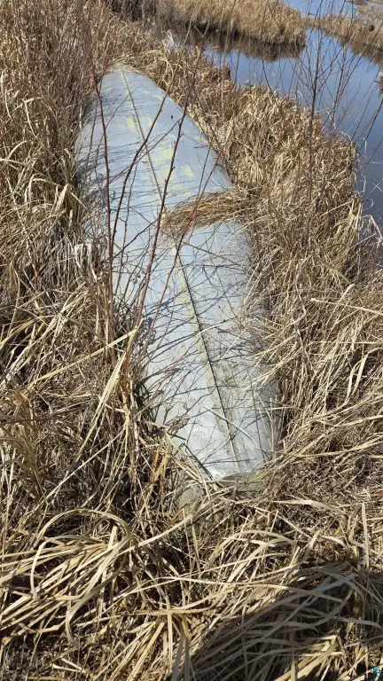 Picture 15