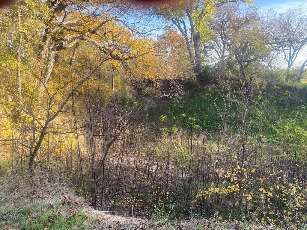 Picture 8