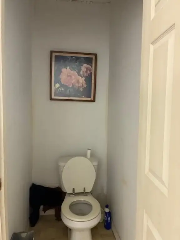 Picture 17