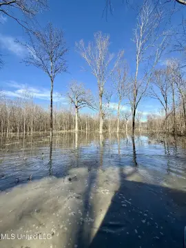 Premier Hunting Land in Silver City