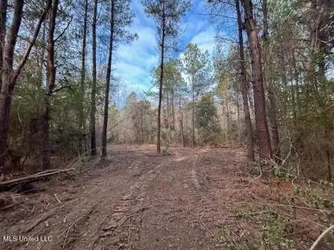 Wooded Land with Creek Frontage