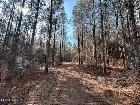 Magnolia, MS Wooded Acreage