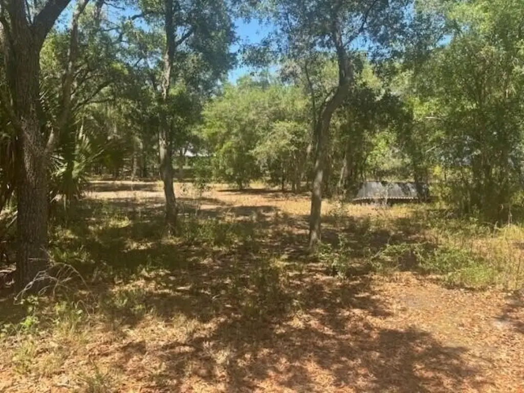 Picture 4
