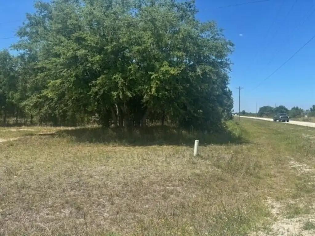 Picture 2