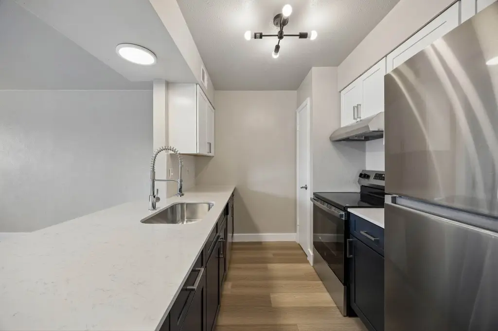 Picture 13
