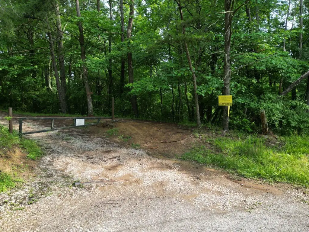 Picture 7