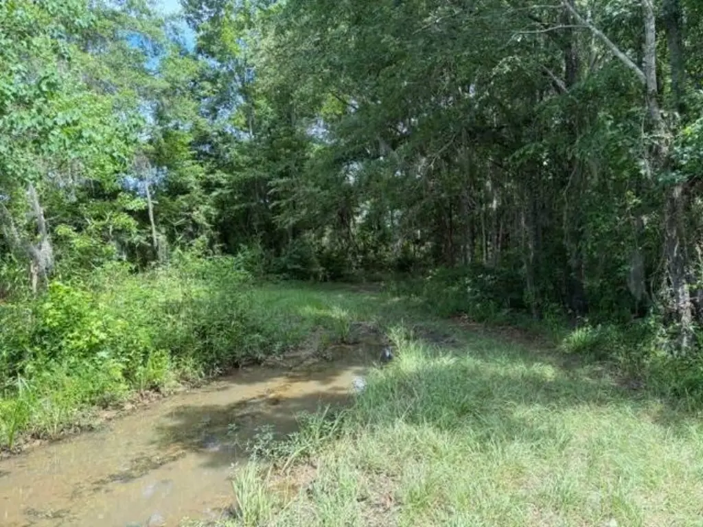 Picture 10