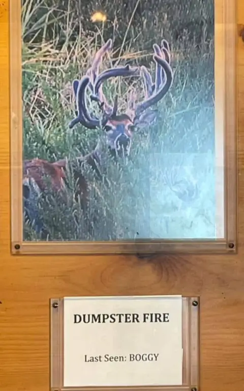 Picture 21