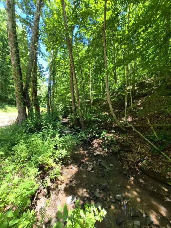 Picture 12