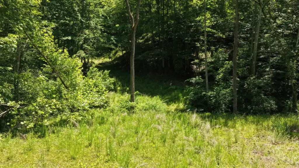 Picture 23