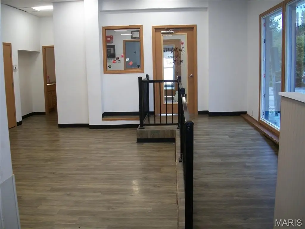 Picture 11