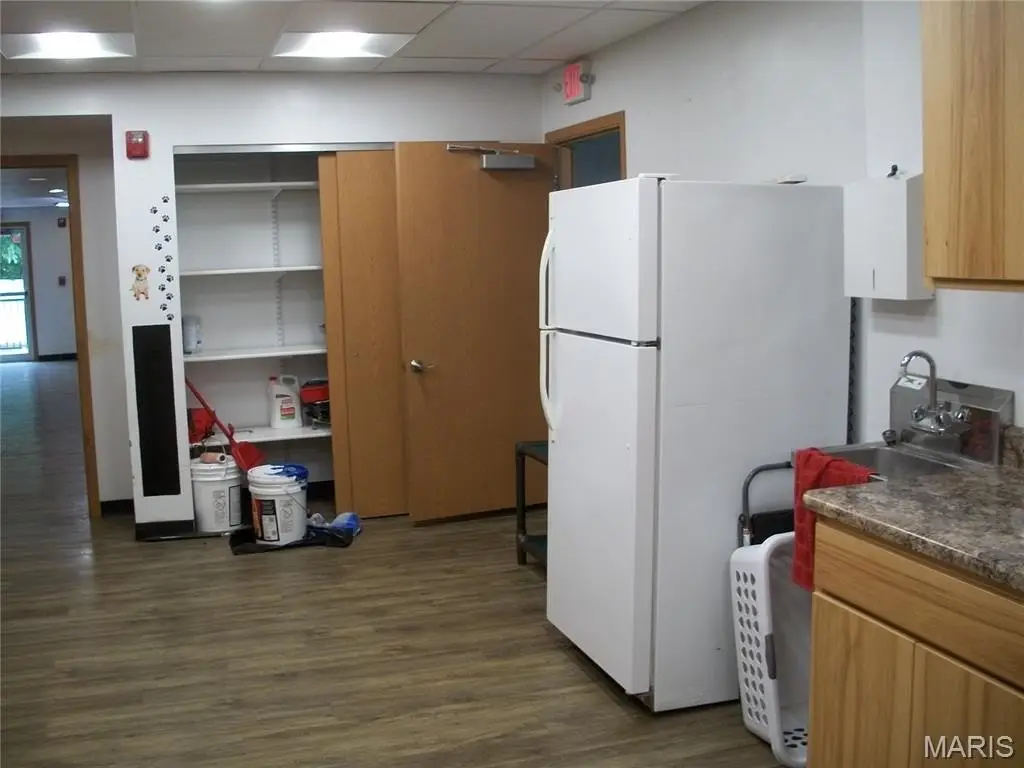 Picture 21