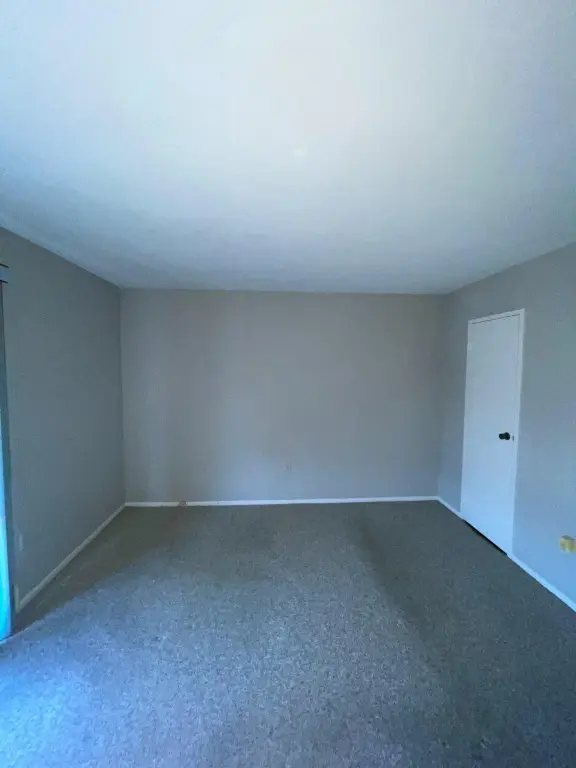Picture 26