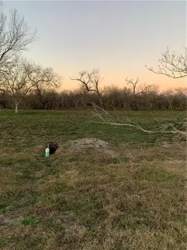 Residential Land in Skidmore, TX