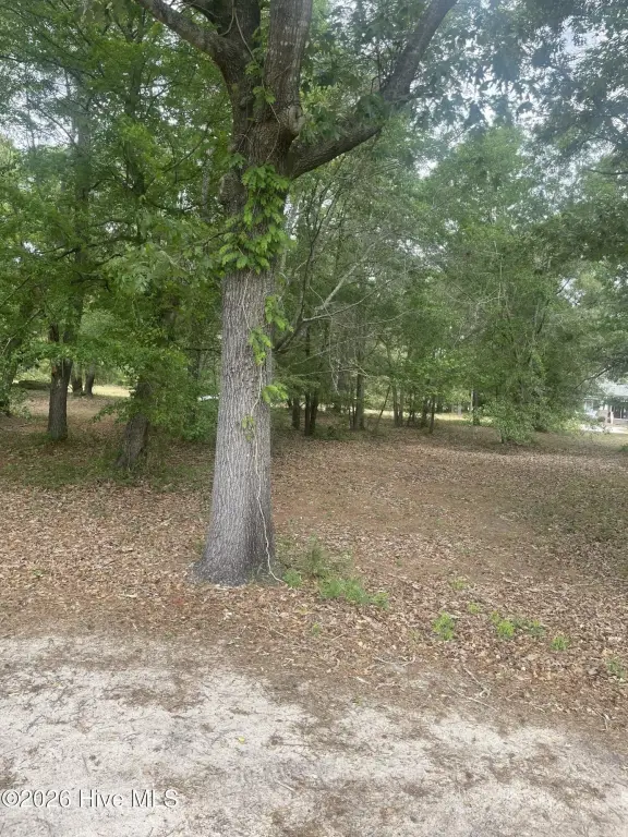Picture 7