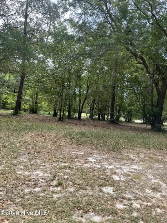 Picture 11