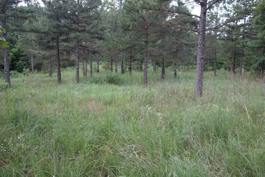 Picture 10