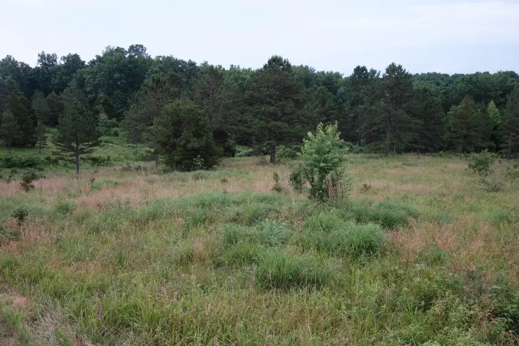 Picture 23