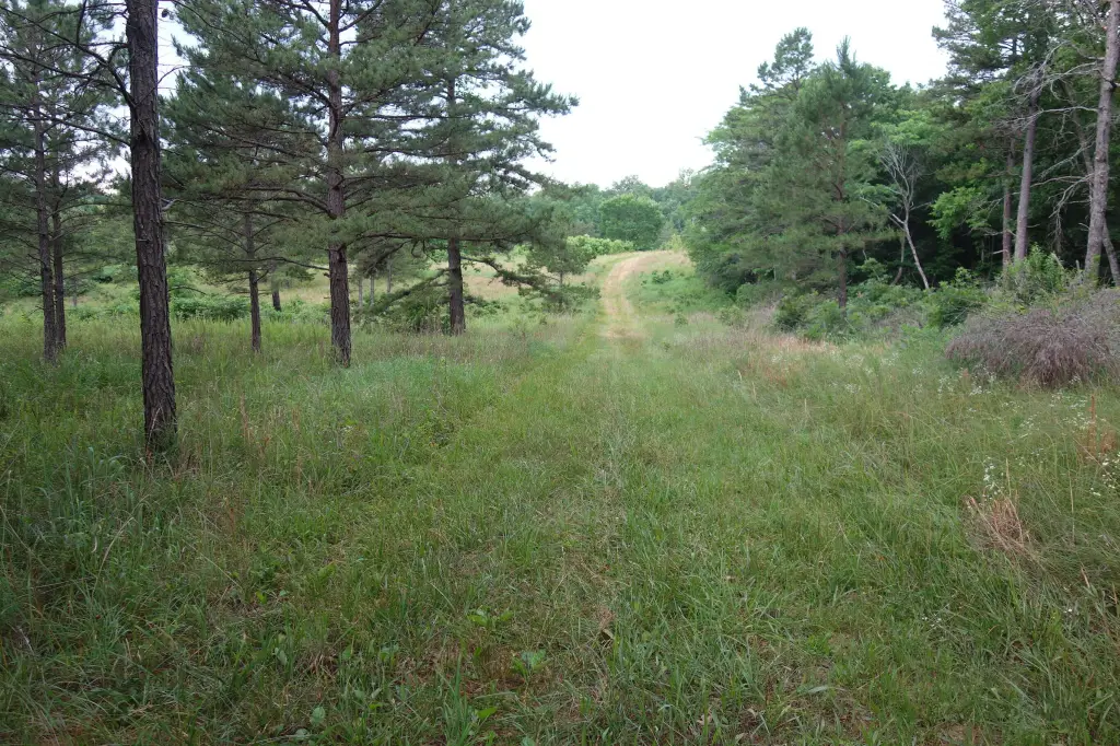 Picture 11