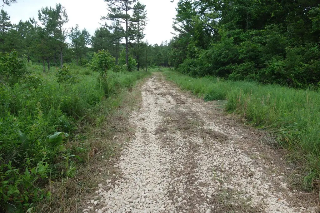 Picture 7