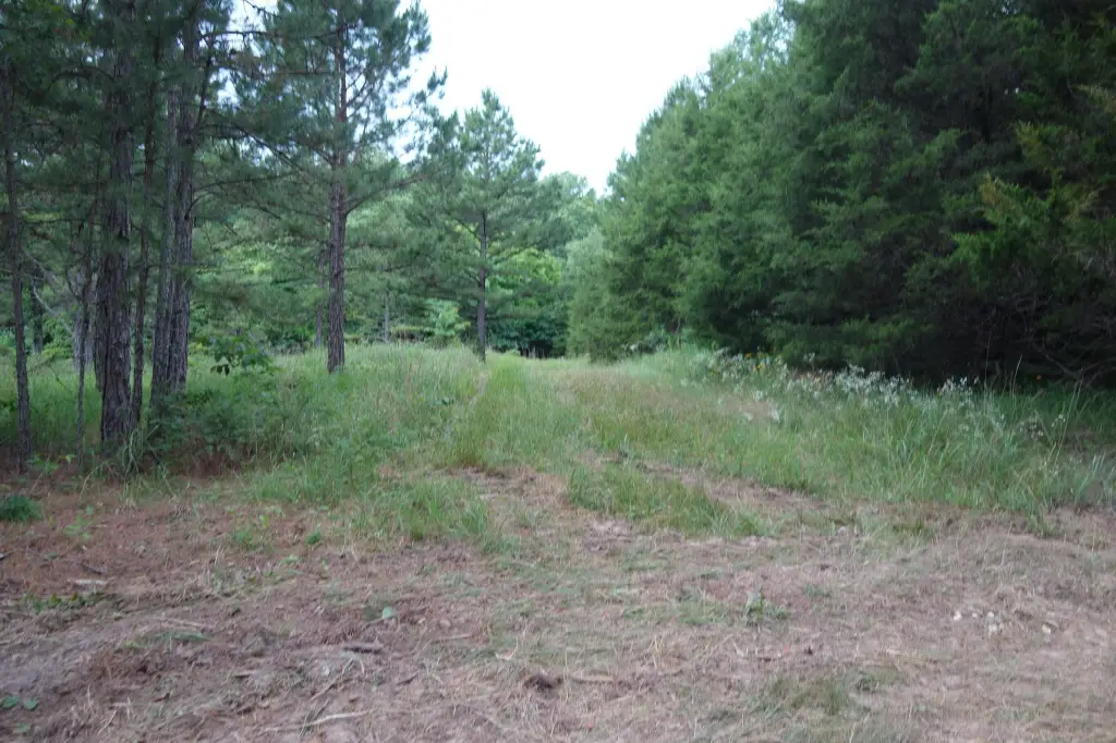 Picture 8