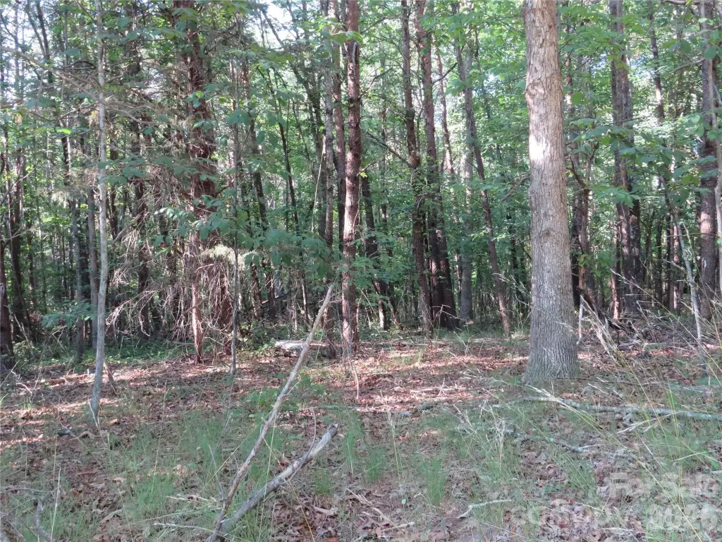 Picture 21