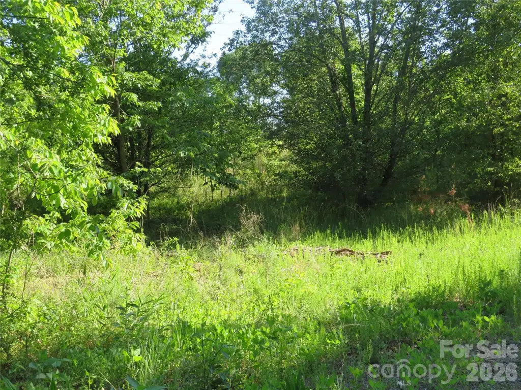 Picture 22