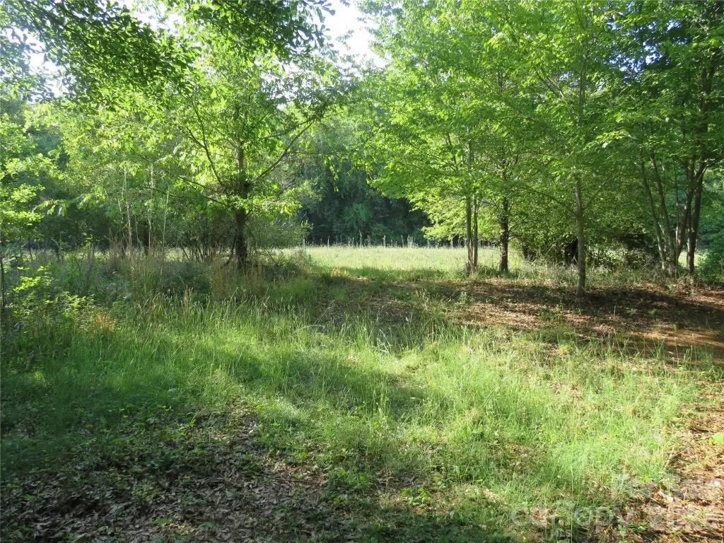 Picture 30
