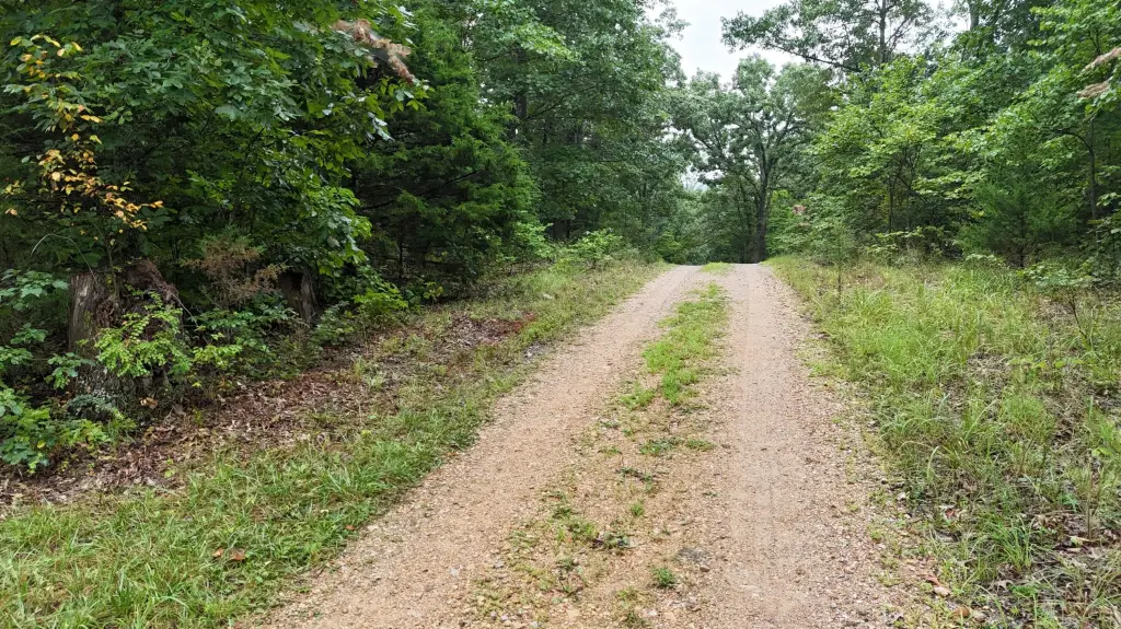Picture 22